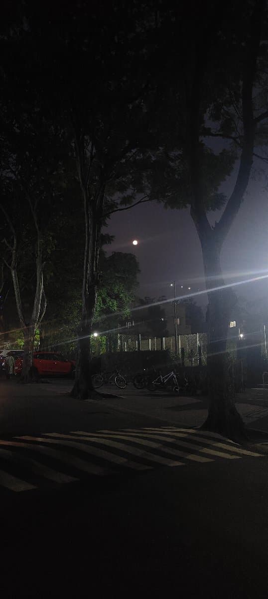 Soni's home photo 3