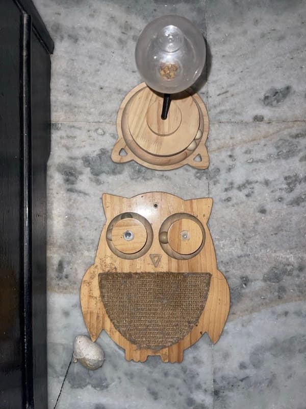 Bhawna's home photo 7