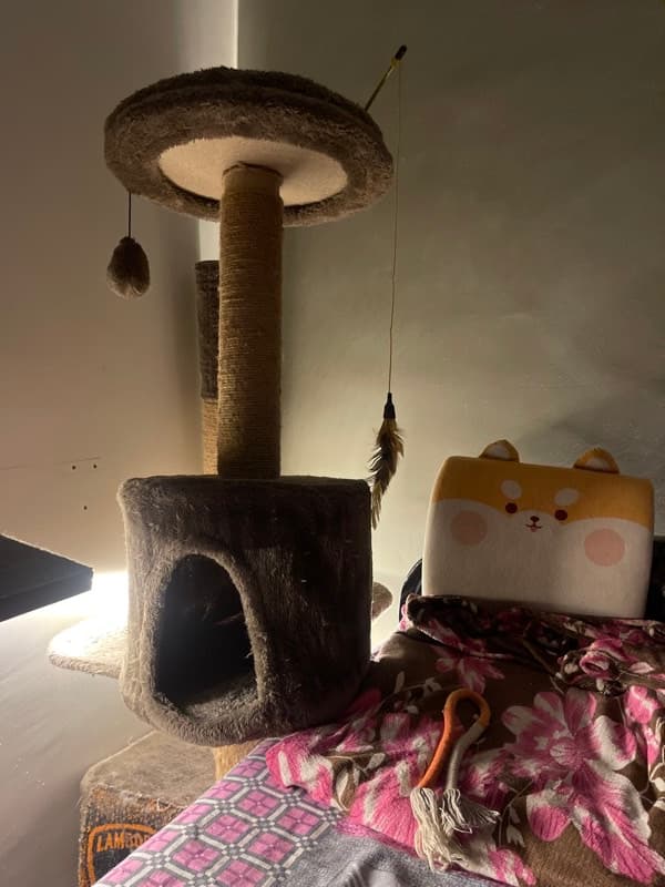 Bhawna's home photo 9