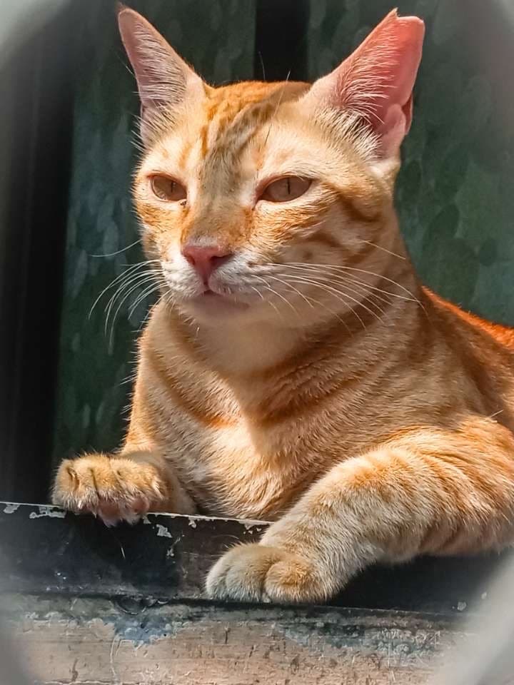 Mahek's profile photo