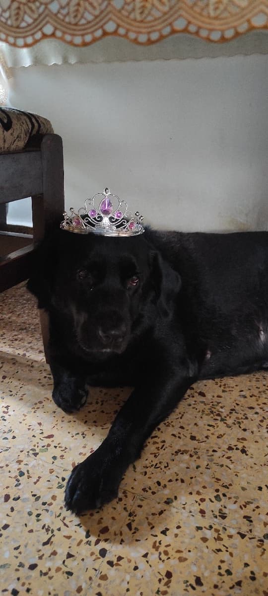 Pooja's home photo 1