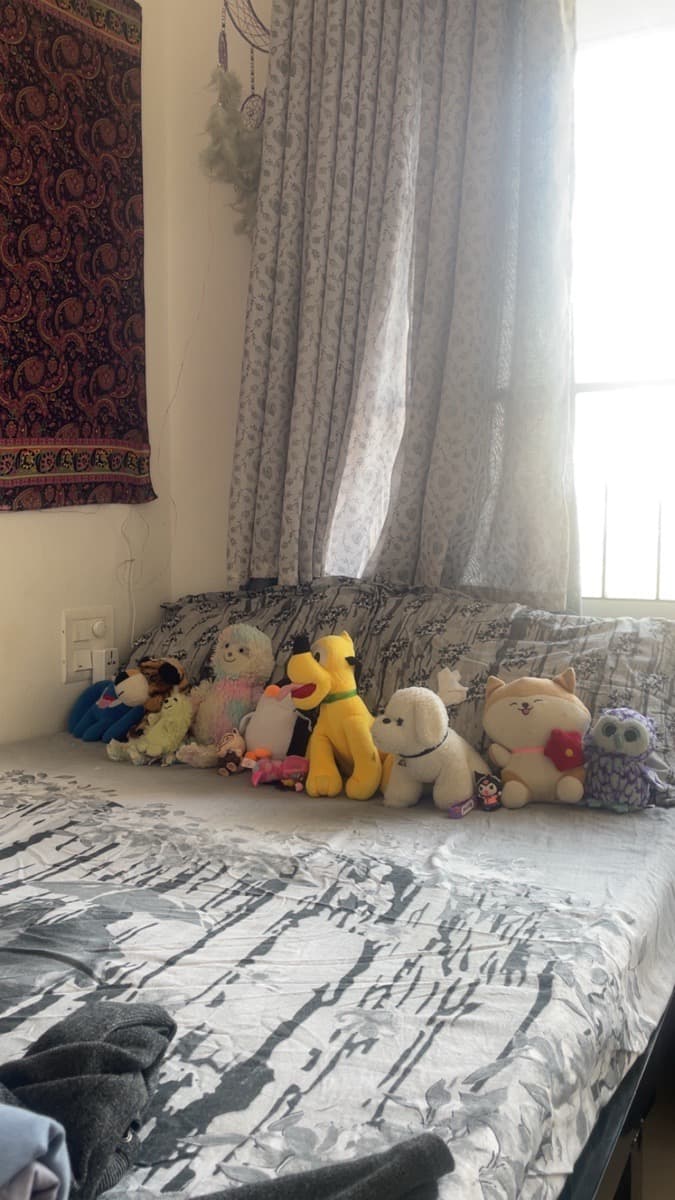 Sumedha's home photo 2