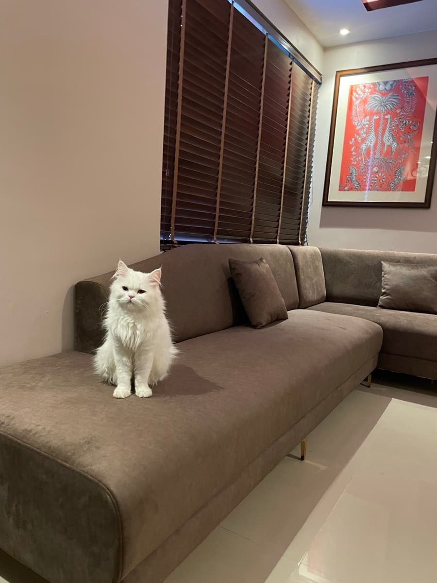 Simona's home photo 1