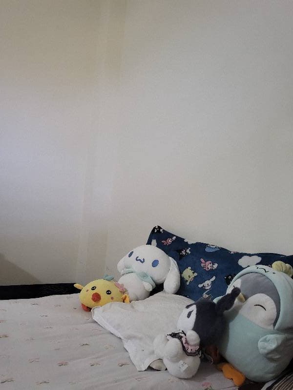 Noor's home photo 1