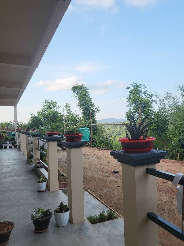 Noor's home photo 2