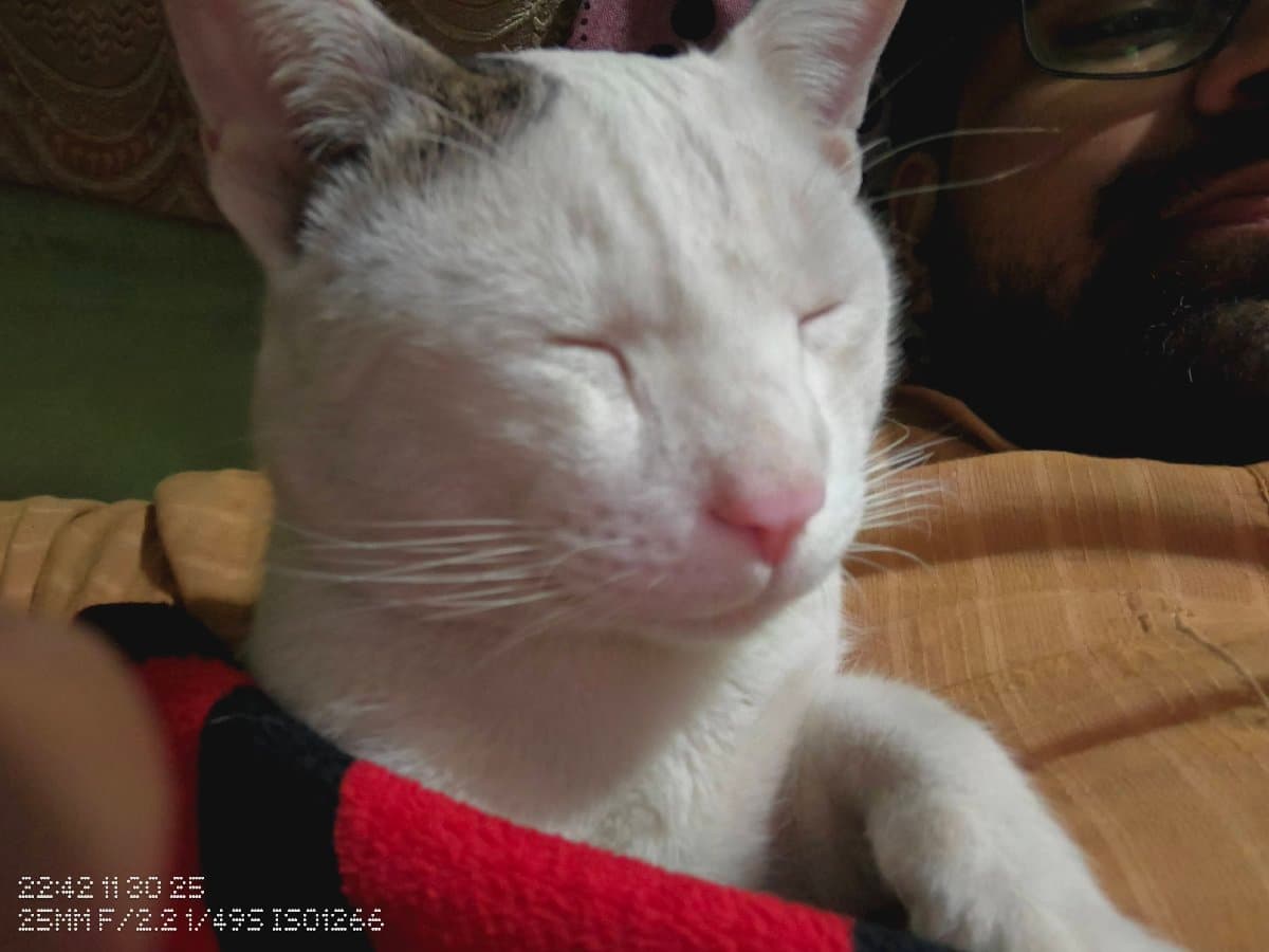 Mohd's profile photo