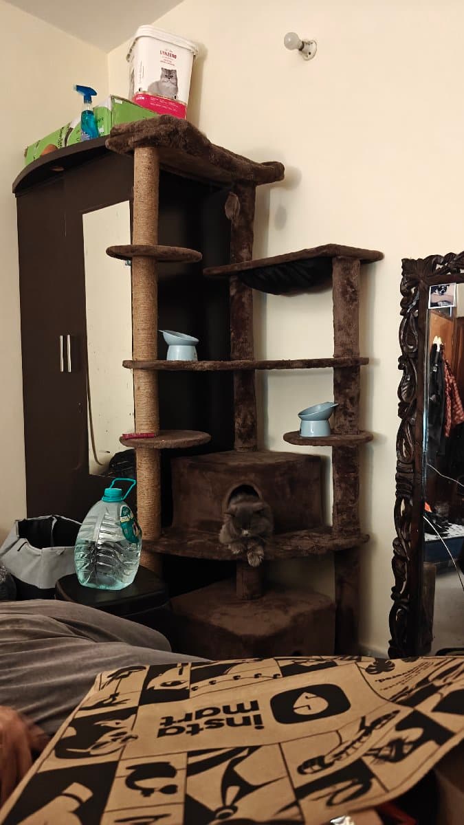 Simran's home photo 1