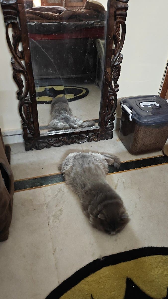 Simran's home photo 8
