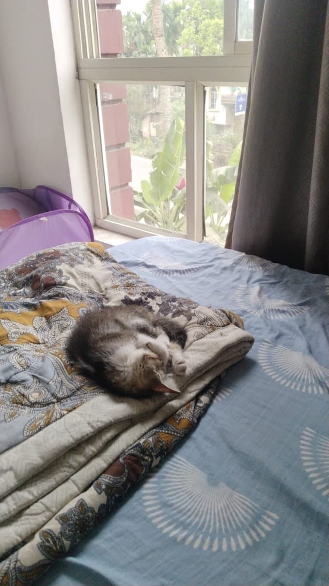 Somsubhra's home photo 4