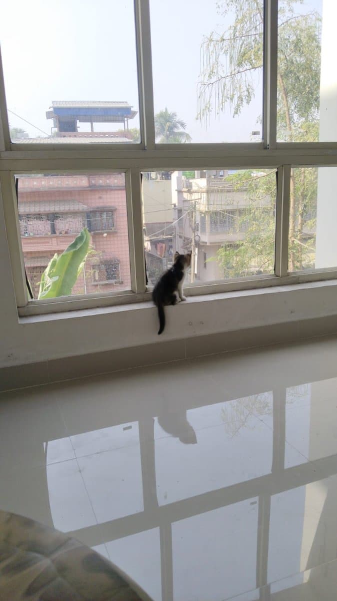 Somsubhra's home photo 3