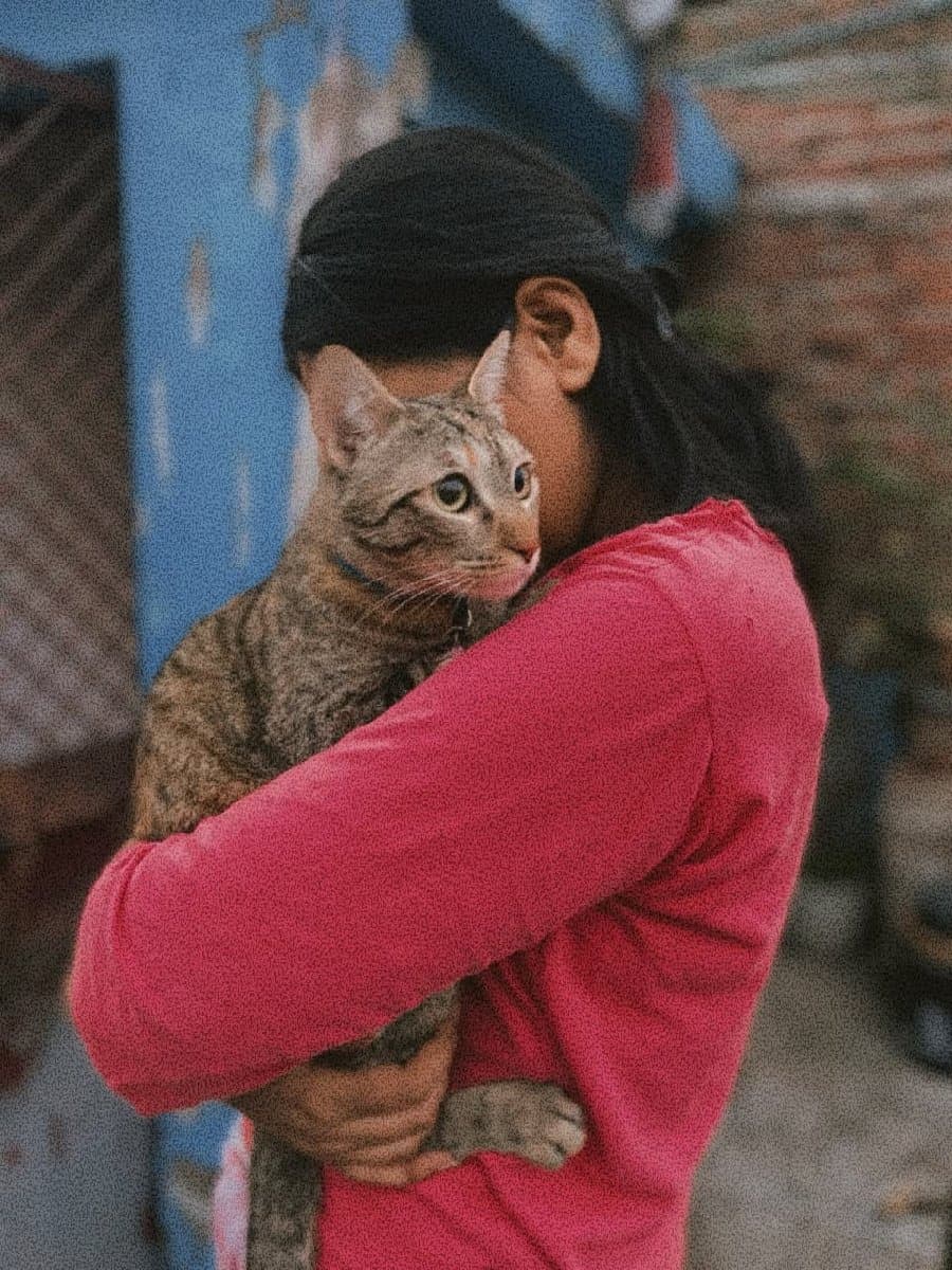 TRISHITA's profile photo