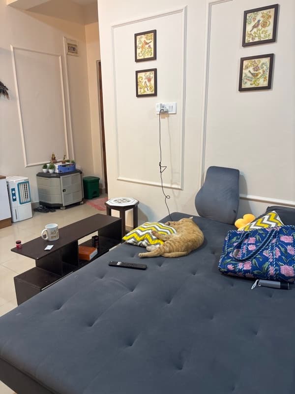 Nivedita's home photo 10