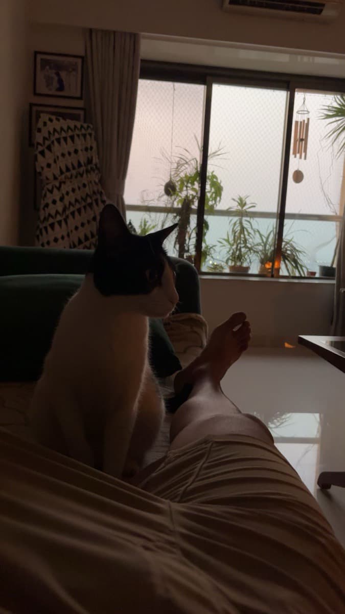 Suyash's home photo 3