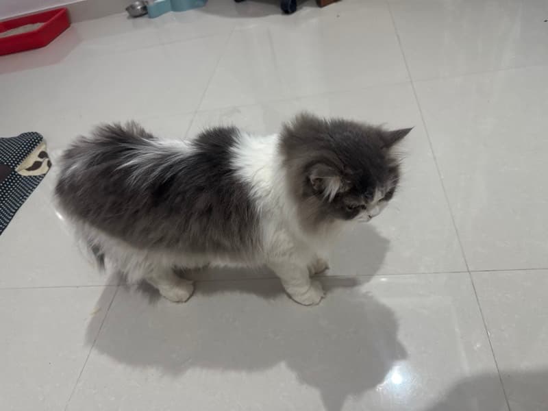Anshul's home photo 1