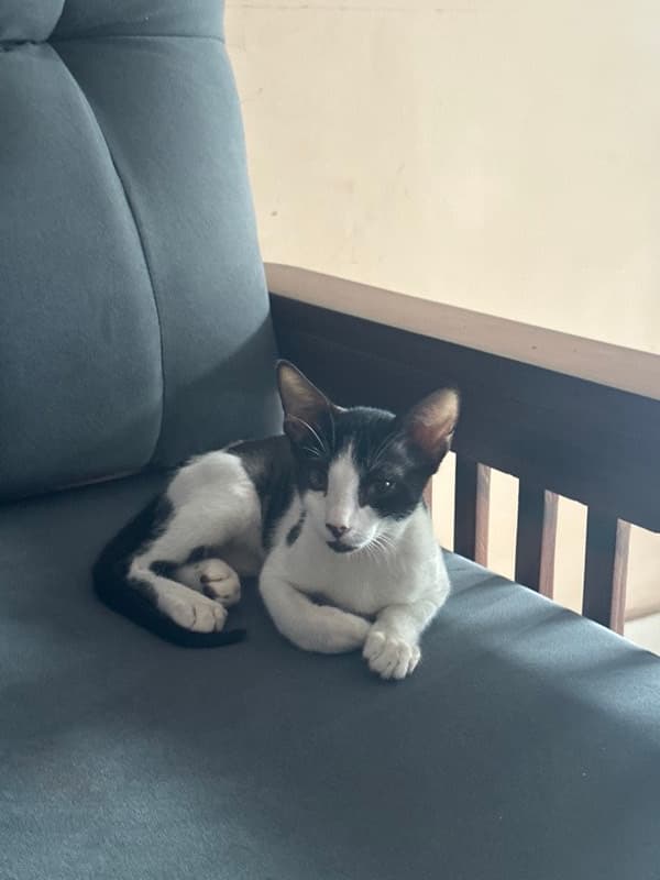 Atreyee's home photo 1