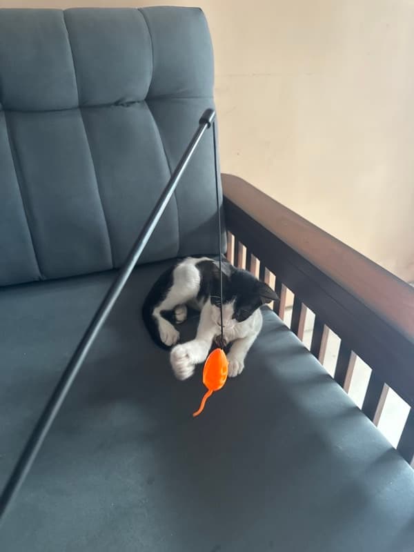 Atreyee's home photo 3