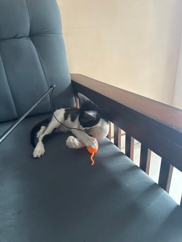 Atreyee's home photo 4