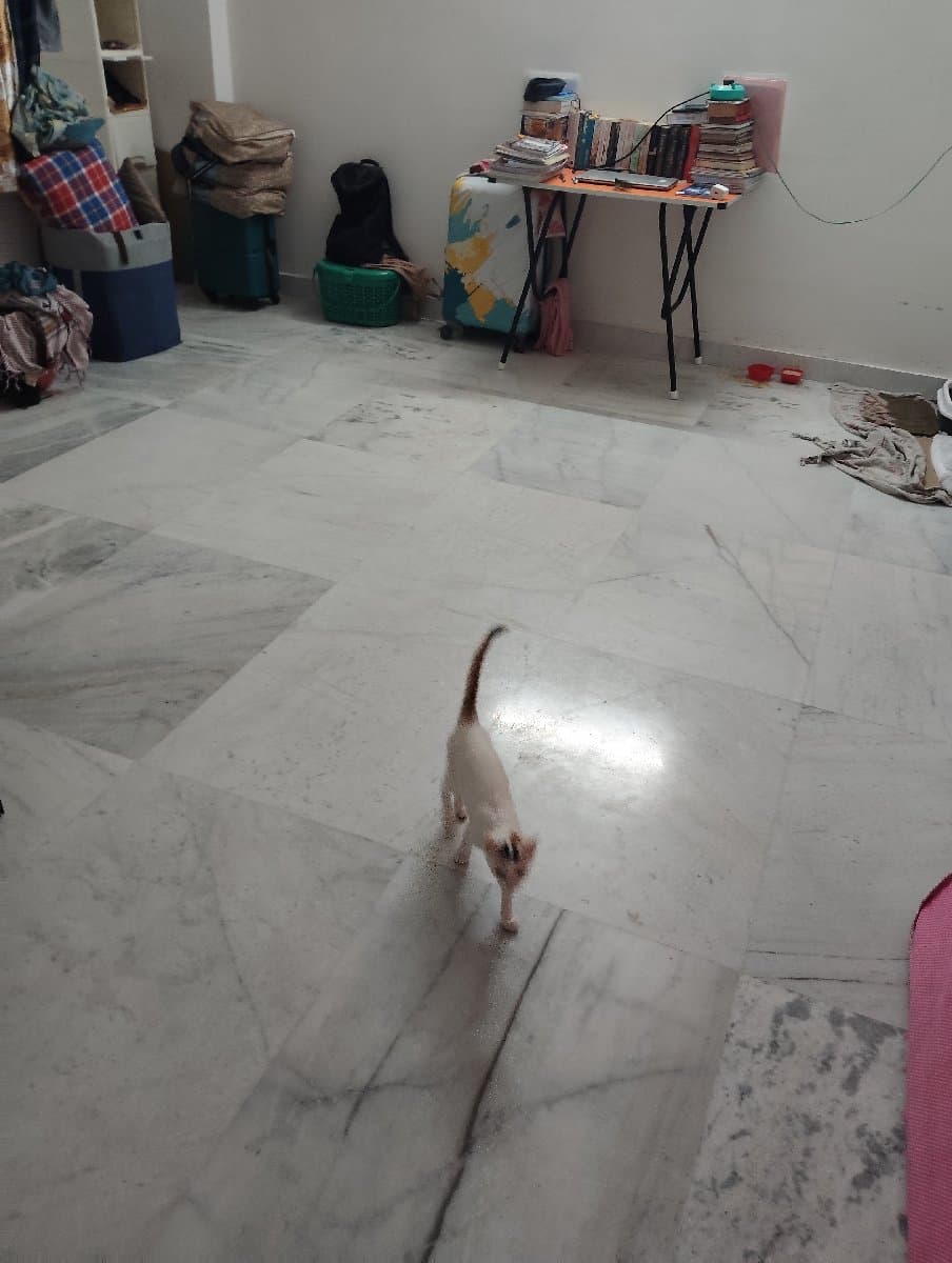 Ayush's home photo 1
