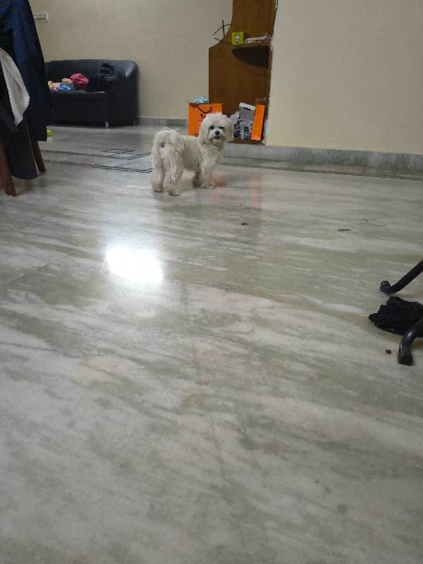 Vaishnavi's home photo 2