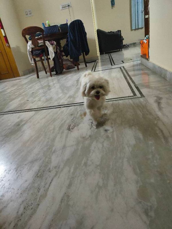 Vaishnavi's home photo 3
