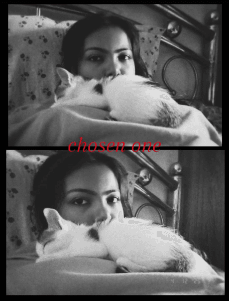 Ushashi's home photo 4