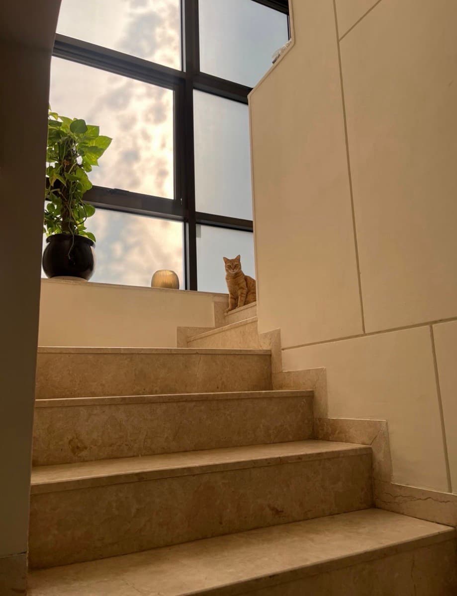 Sailee's home photo 1
