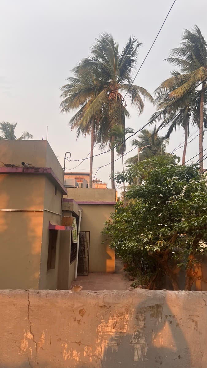 Shreeyansha's home photo 1