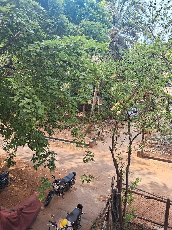 Bankapalli's home photo 2