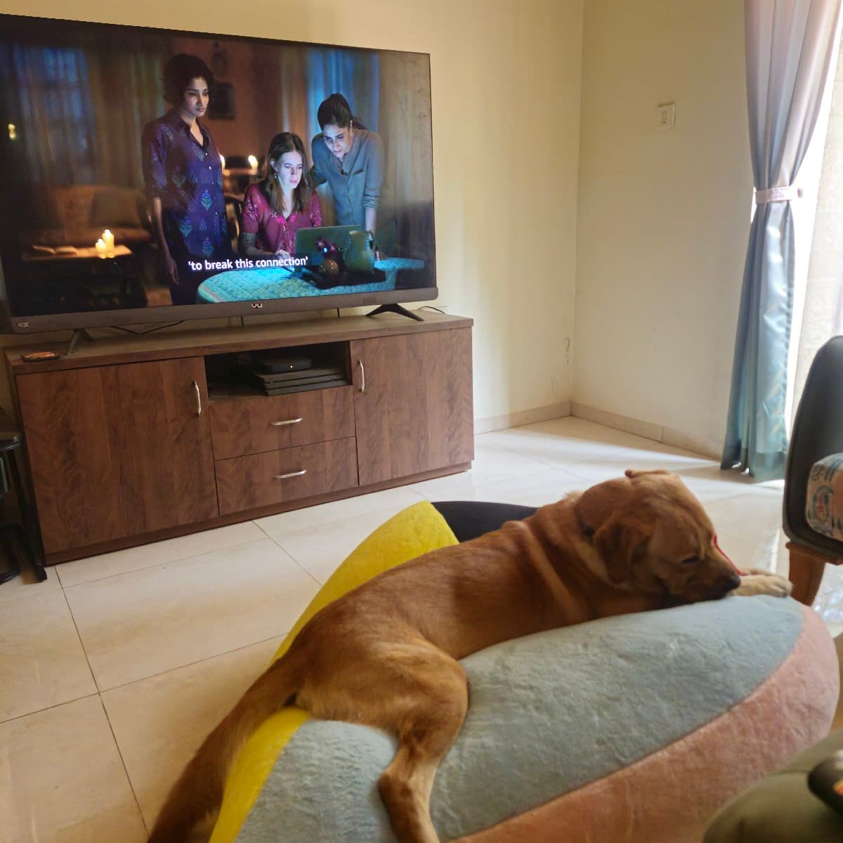 Deepali's home photo 5