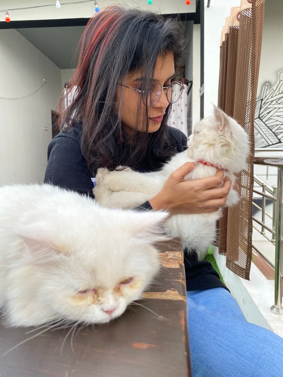 Mansi's profile photo