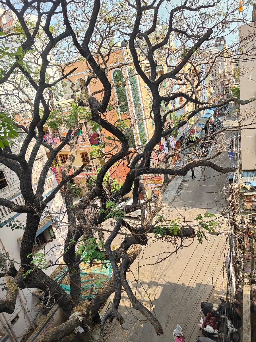 Erothu's home photo 3