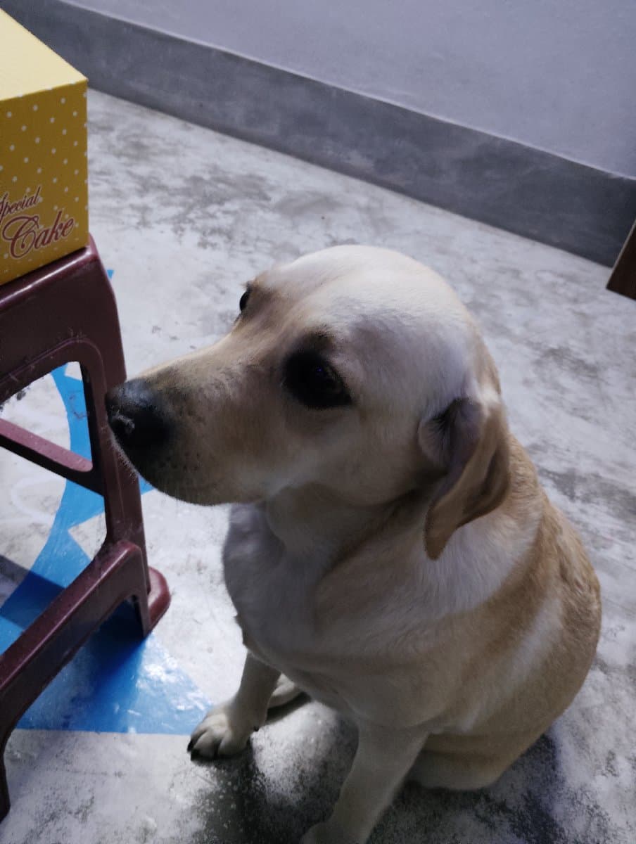 CHIRANJIB's home photo 6