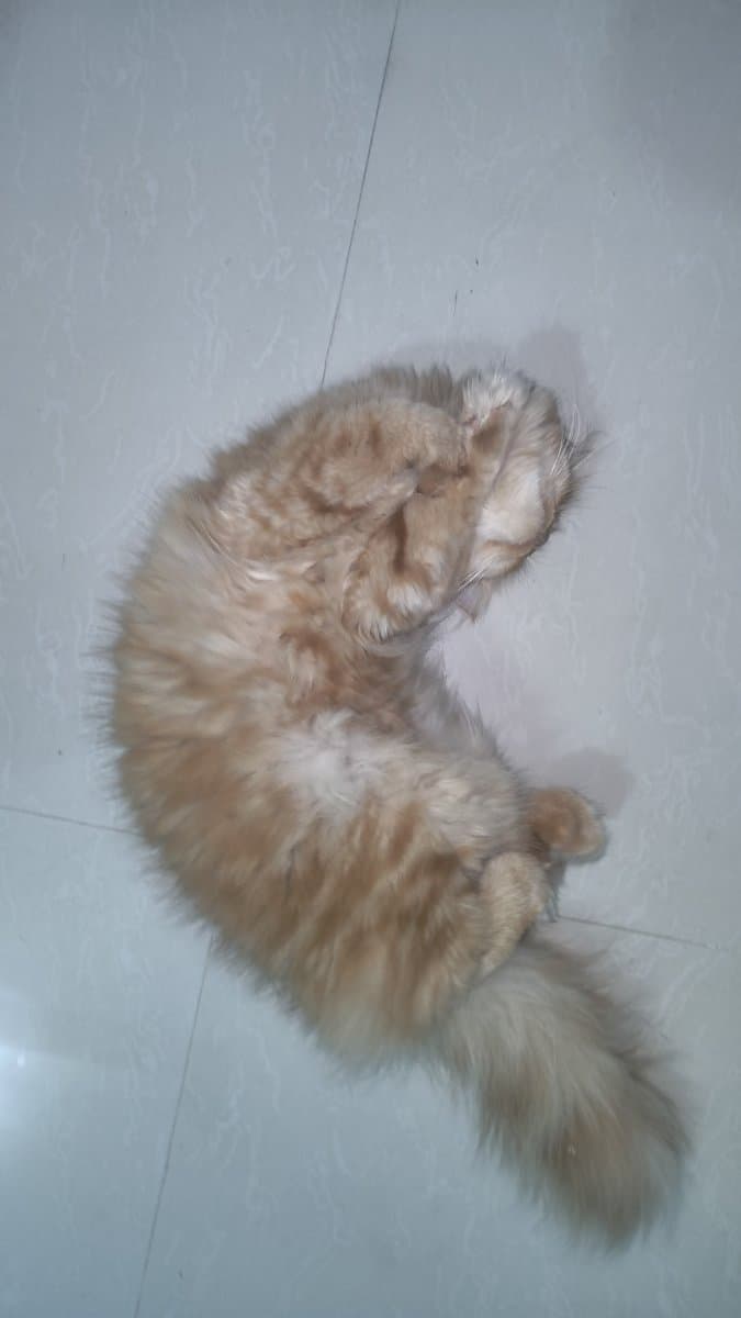 Rutuja's home photo 2