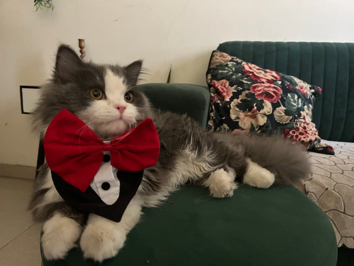 Pallabi's home photo 4