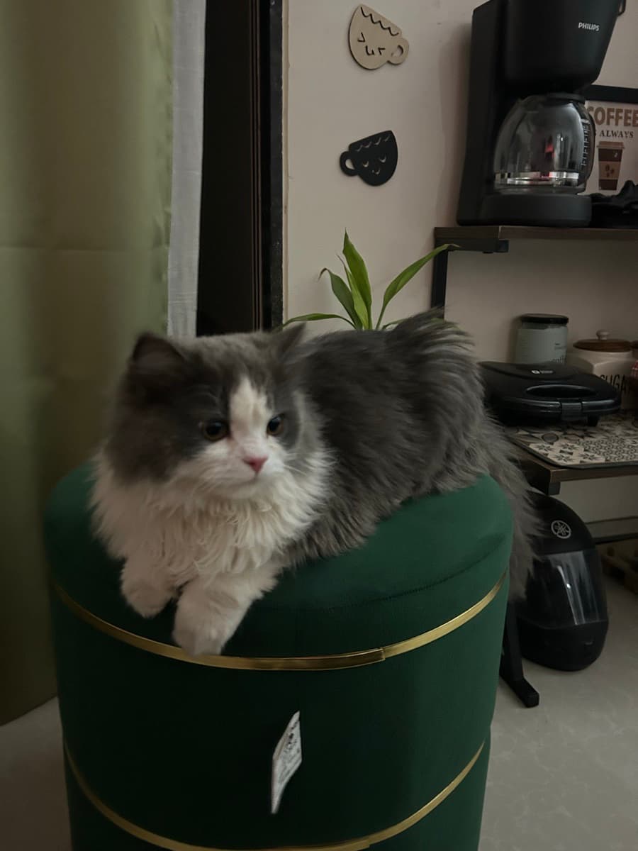 Pallabi's home photo 5