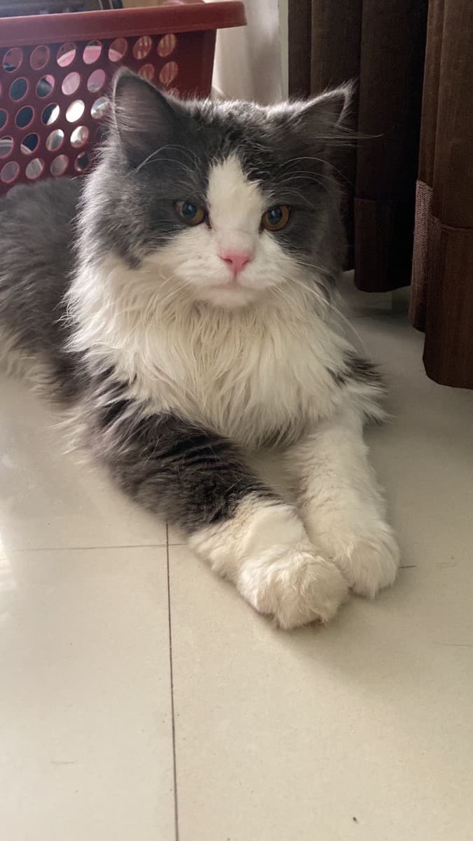 Pallabi's home photo 8