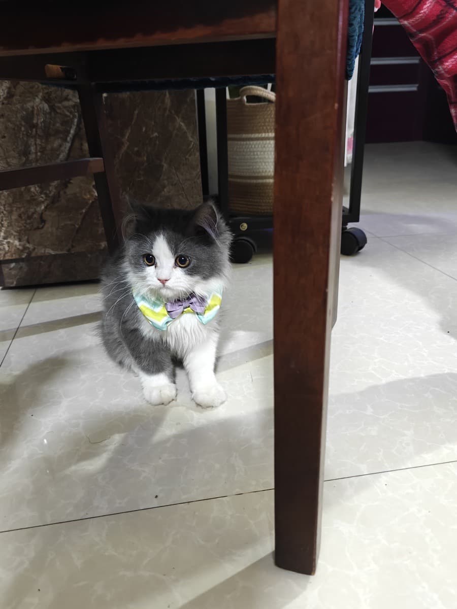 Pallabi's home photo 7