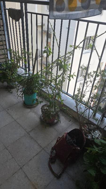 V's home photo 2