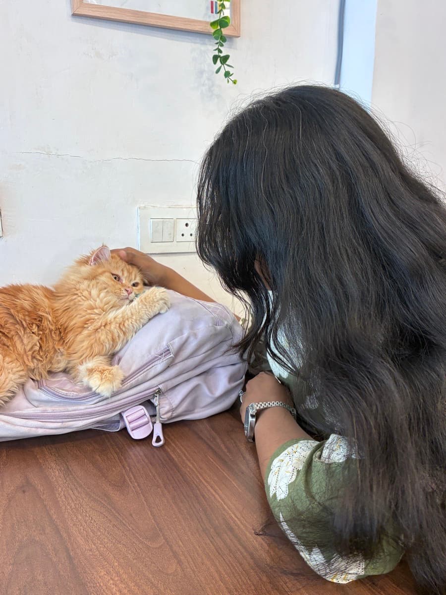 Sakshi's home photo 4