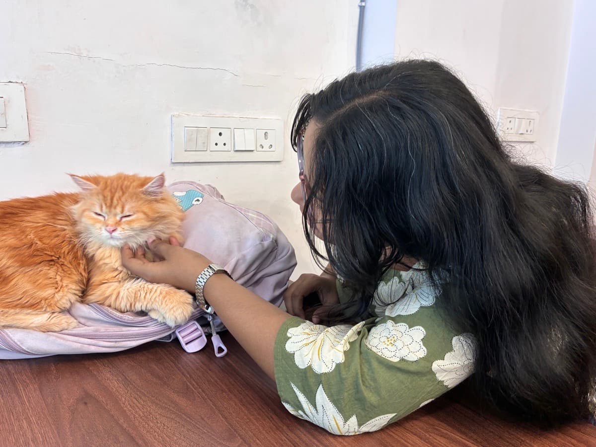 Sakshi's profile photo