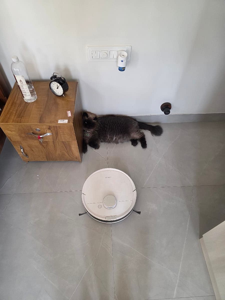Kruthi's home photo 3