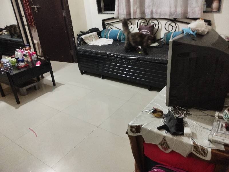 Muskan's home photo 1