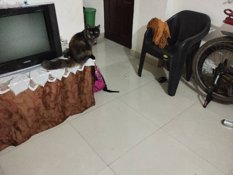 Muskan's home photo 2