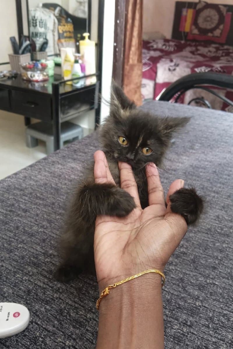 Muskan's profile photo
