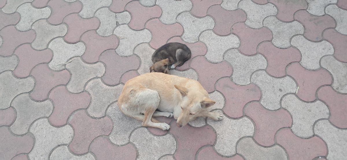 Kirti's home photo 2