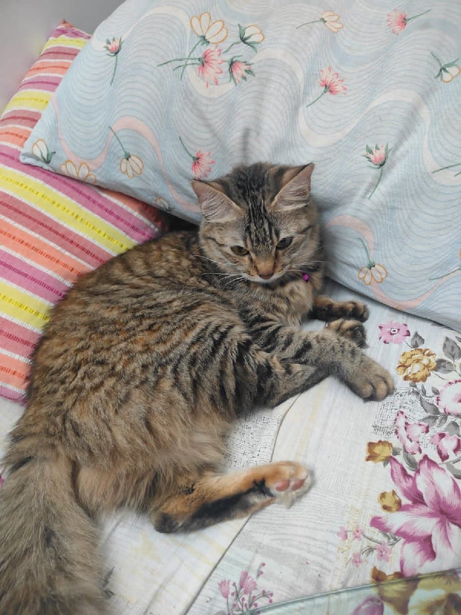 Rachel's home photo 7