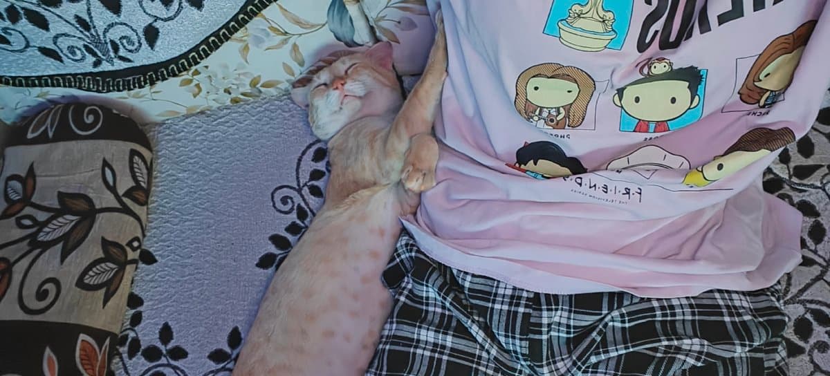 N.'s home photo 7
