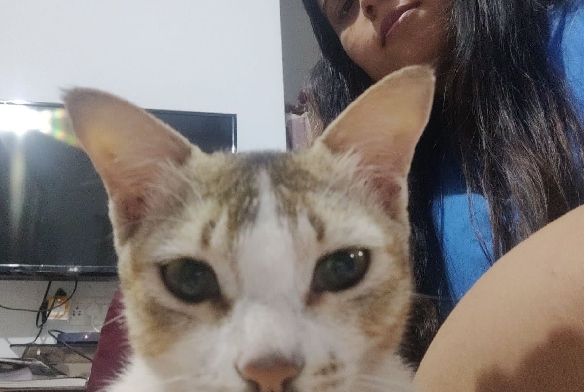Nairrita's home photo 3