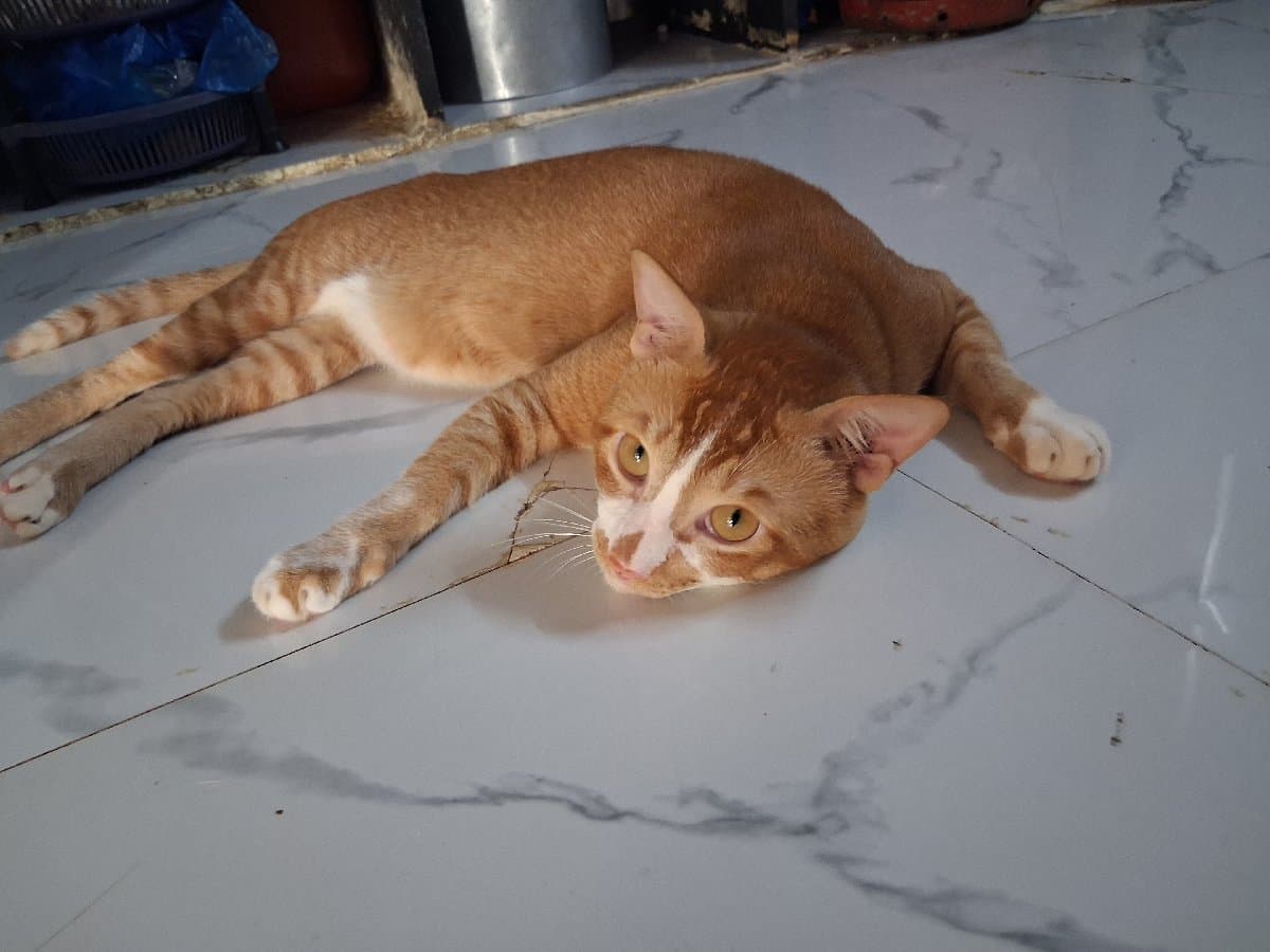 Pradnya's home photo 1