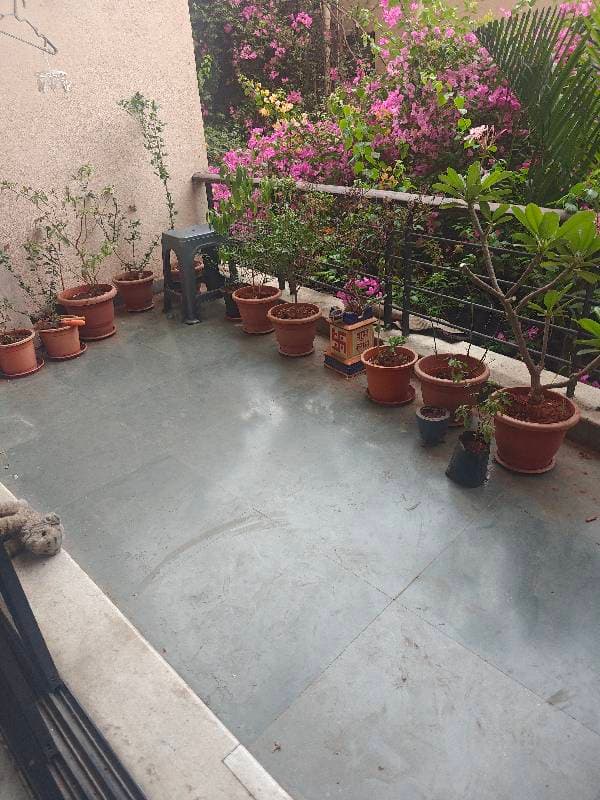 Shivani's home photo 2